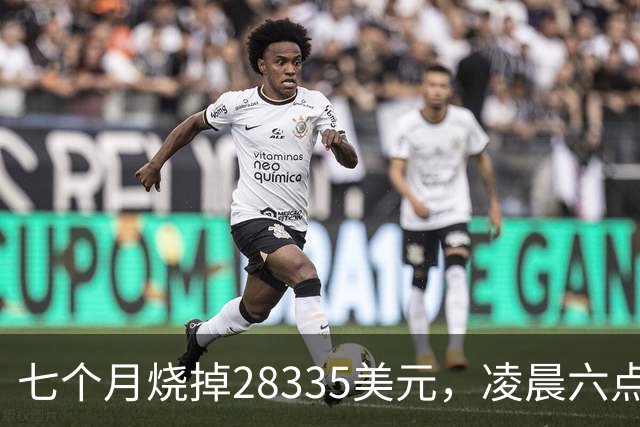 七个月烧掉28335美元，凌晨六点前的工具调用只有0.7%