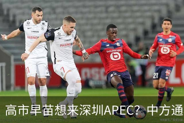 高市早苗想来深圳APEC？中方通稿里一个细节，被不少人盯上了